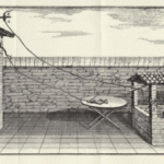 Luigi Galvani faceva sgambettare rane morte